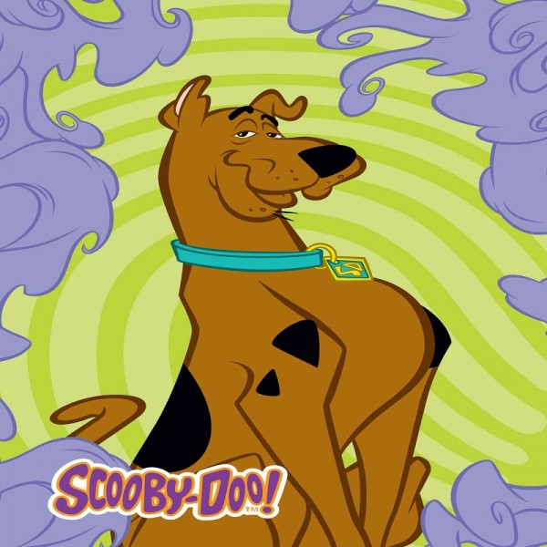 Πετσέτα Προσώπου Dim Collection Scooby Doo 01