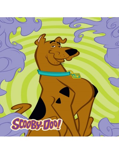 Πετσέτα Προσώπου Dim Collection Scooby Doo 01